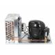 Unita' Condensatrice 1/4 HP10,00CC Frigo AC6187Z