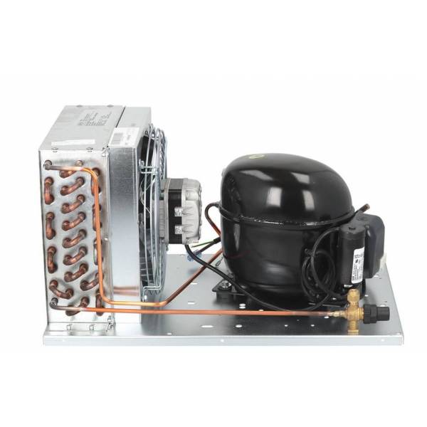 Unita' Condensatrice 1/4 HP10,00CC Frigo AC6187Z
