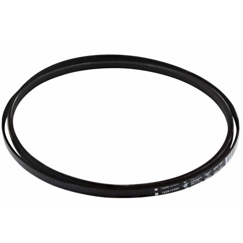 Cinghia 1951H5 Poly-v Asciugatrice Electrolux 1506124039