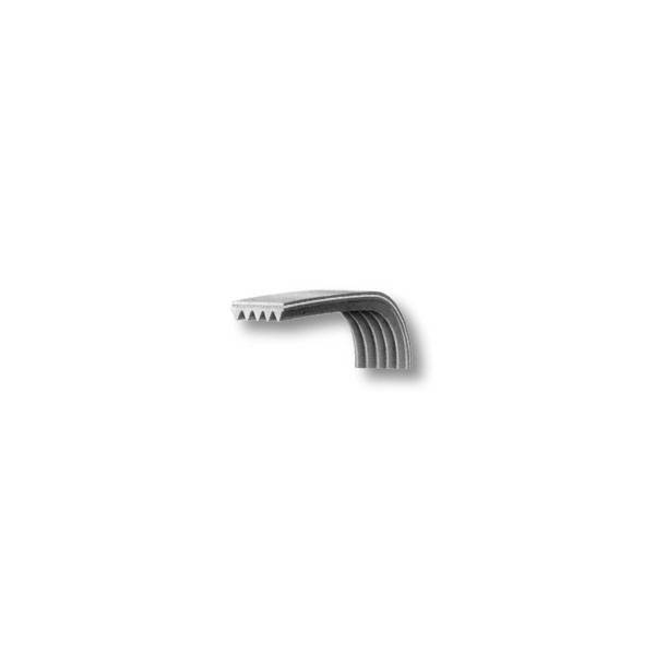 Cinghia Lavatrice Rigata 1208 J6/1205 J6 TEM Ariston C00141926