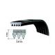 Cinghia EL1049 J4 Dentata Ariston C00269086