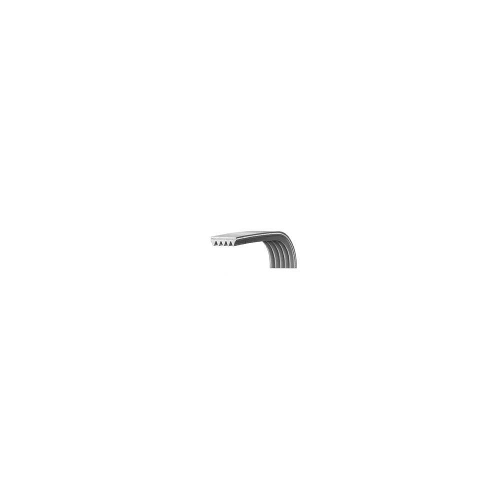 Cinghia EL1049 J4 Dentata Ariston C00269086