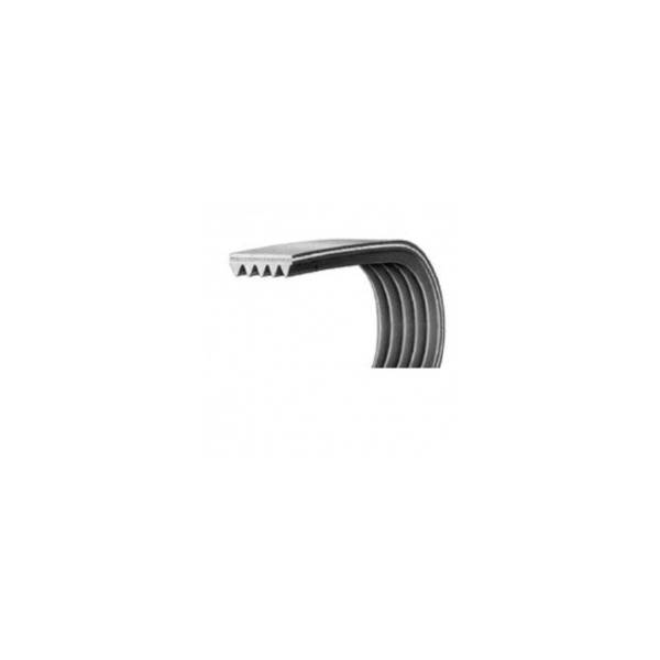 Cinghia Lavatrice EL1280 J6 Dentata POLY-V 50680539009