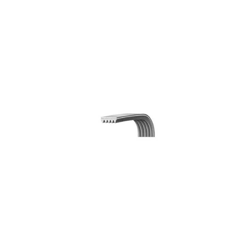 Cinghia Lavatrice EL1192 H7 Riagta 1290775509