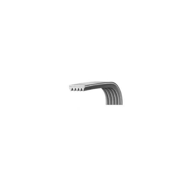 Cinghia Lavatrice EL1192 H7 Riagta 1290775509