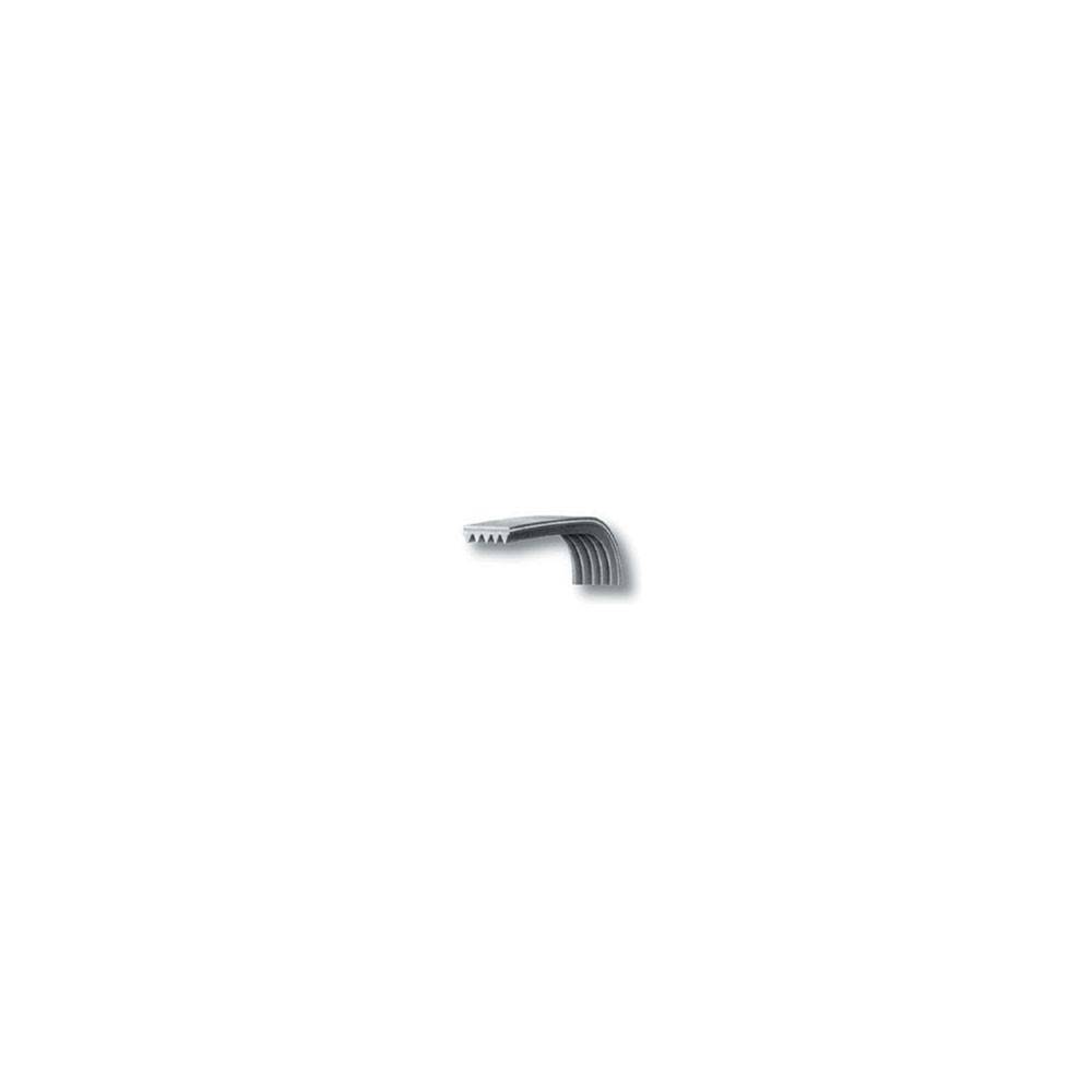 Cinghia Dentata 1238 H7 Asciugatrice Ardo 651009072