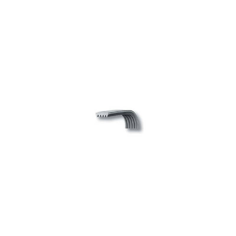 Cinghia Dentata 1238 H7 Asciugatrice Ardo 651009072
