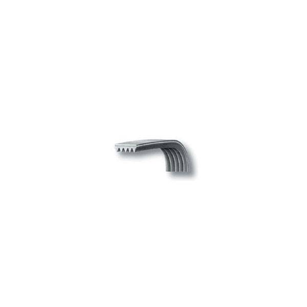 Cinghia Dentata 1238 H7 Asciugatrice Ardo 651009072