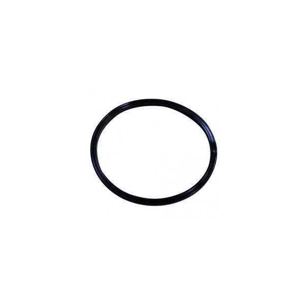 Anello Guarnizione Air Break Lavastoviglie Candy 92620012
