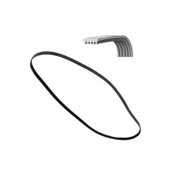 Cinghia Dentata 1196 J5 Poly-V Lavatrice Zanussi 1323531200