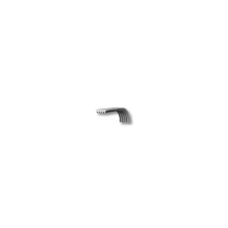 Cinghia EL1023 H7 Dentata Lavatrice Temp Poly-V 416003000