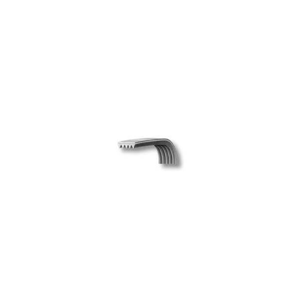 Cinghia EL1023 H7 Dentata Lavatrice Temp Poly-V 416003000
