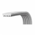 Cinghia Lavatrice EL1270 J4 Rigata Universale 00126444