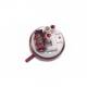Pressostato 3 Contatti Evo3 90/71Lavastoviglie Ariston C00143740