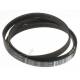 Cinghia Rigata Laavtrice 1244 J5 EL POLY-V Per 2816750200