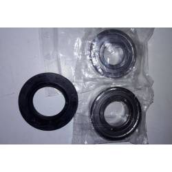 Kit 2 Cuscinetti 6204ZZ + 6205RS + Anello Tenuta 30X52X8,5/10,5