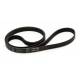 Cinghia Lavatrice Rigata 1230 H8 POLY-V Candy 41003164