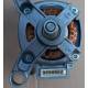 Motore Ceset Trifase Lavatrice Ariston C00196979