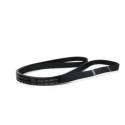 Cinghia Lavatrice EL1204 H8 Rigata Whirlpool 481235818167