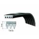 Cinghia Lavatrice 1885H8 TEM POLY-V Ariston C00036195